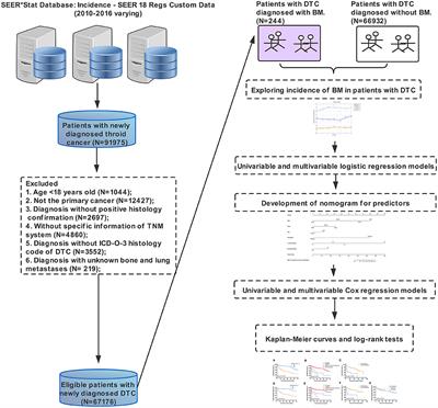 Incidence and Predictors of Synchronous Bone Metastasis in Newly Diagnosed Differentiated Thyroid Cancer: A Real-World Population-Based Study